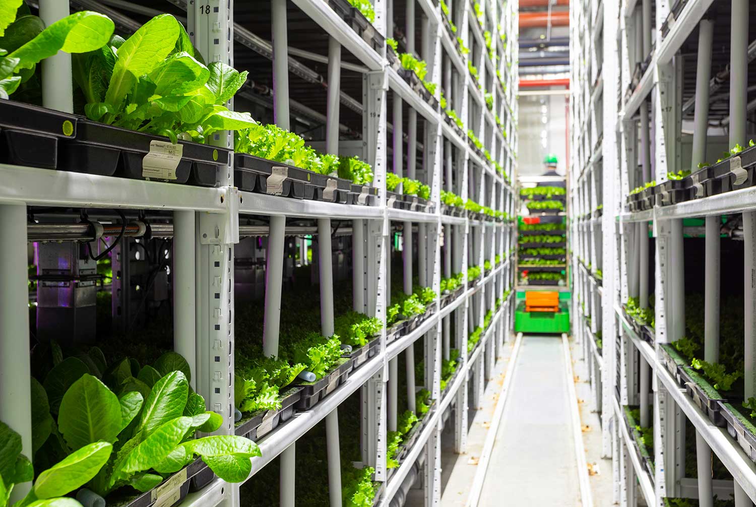 plant propogation warehouse north Star plant propogation warehouse north Star