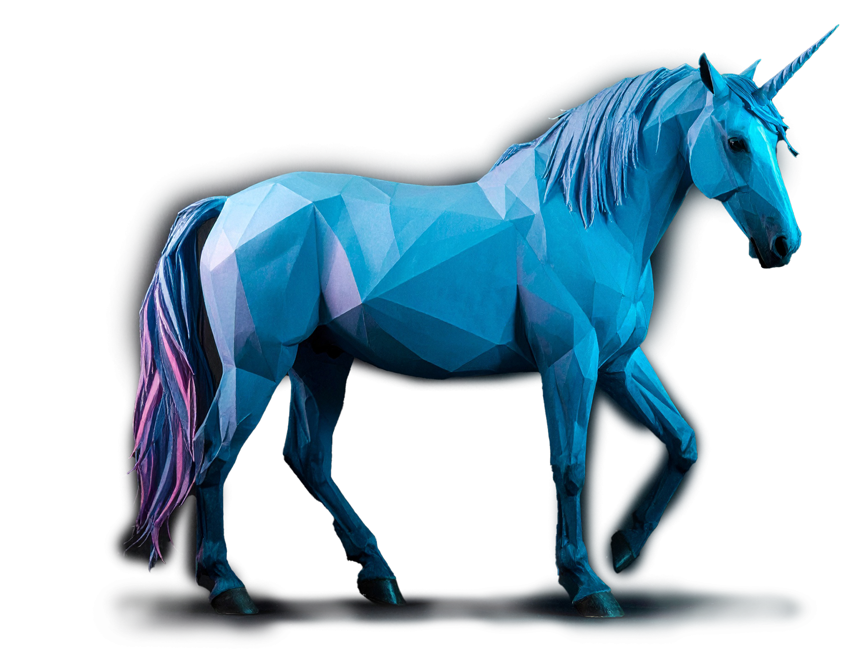 North Star Unicorn